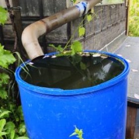 Regenwasserfass 2026-06-02 19.30.